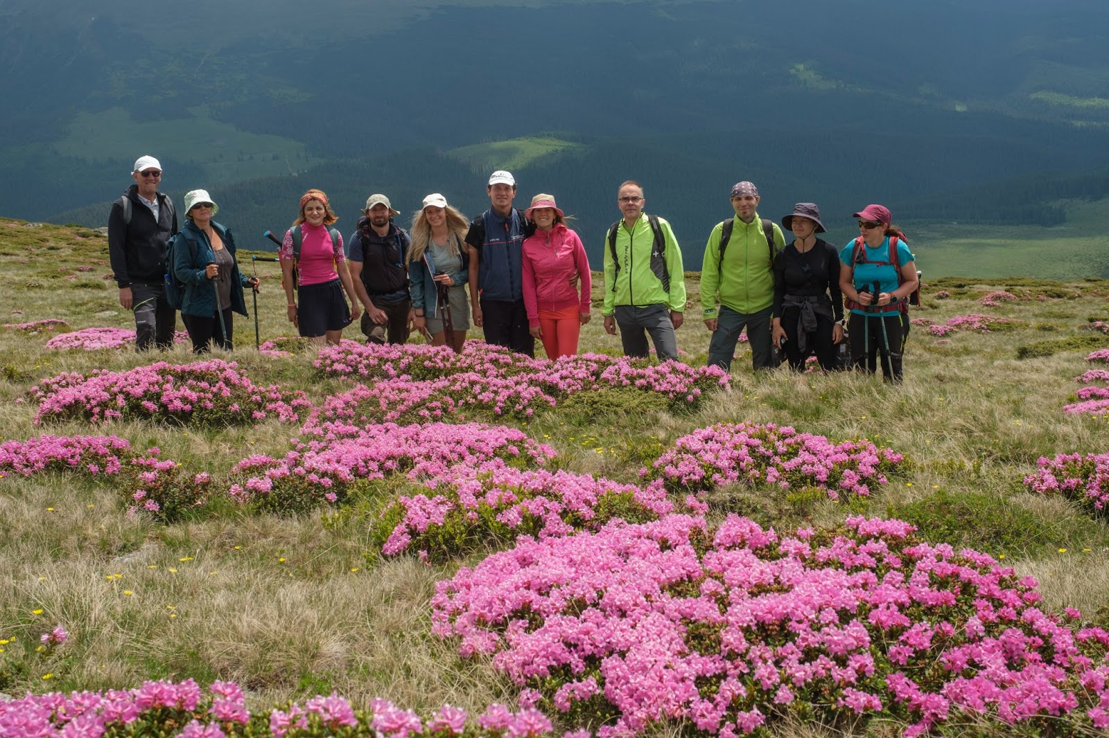Drumeție la Iezerele Cindrelului – Partea a doua