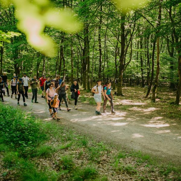 Drumeție pe Măgura Cisnădiei și SPA