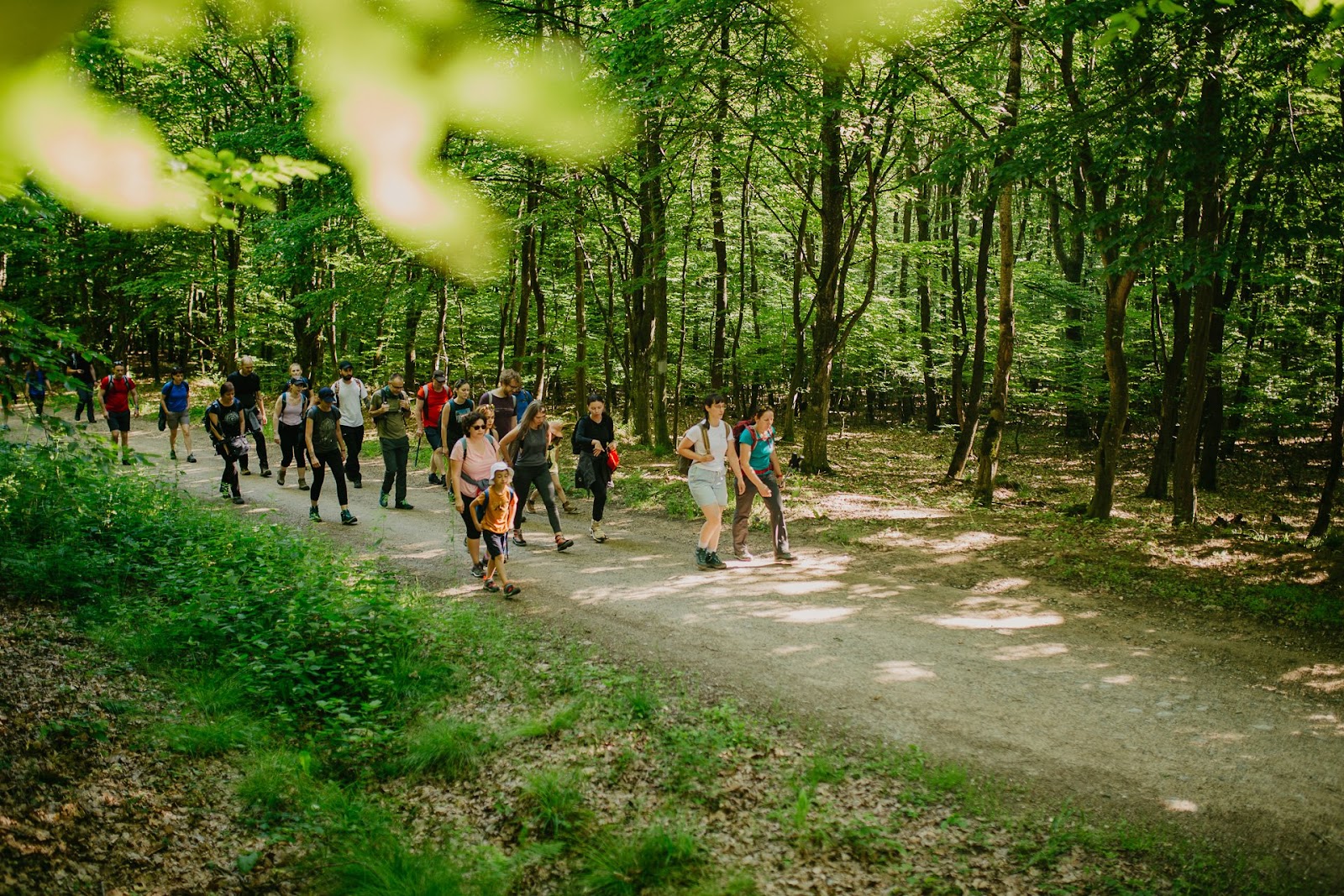 Drumeție pe Măgura Cisnădiei și SPA