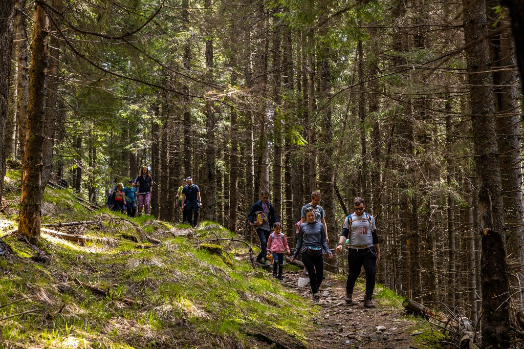 Cisnădioara – Valea Argintului – Poiana Trandafirilor