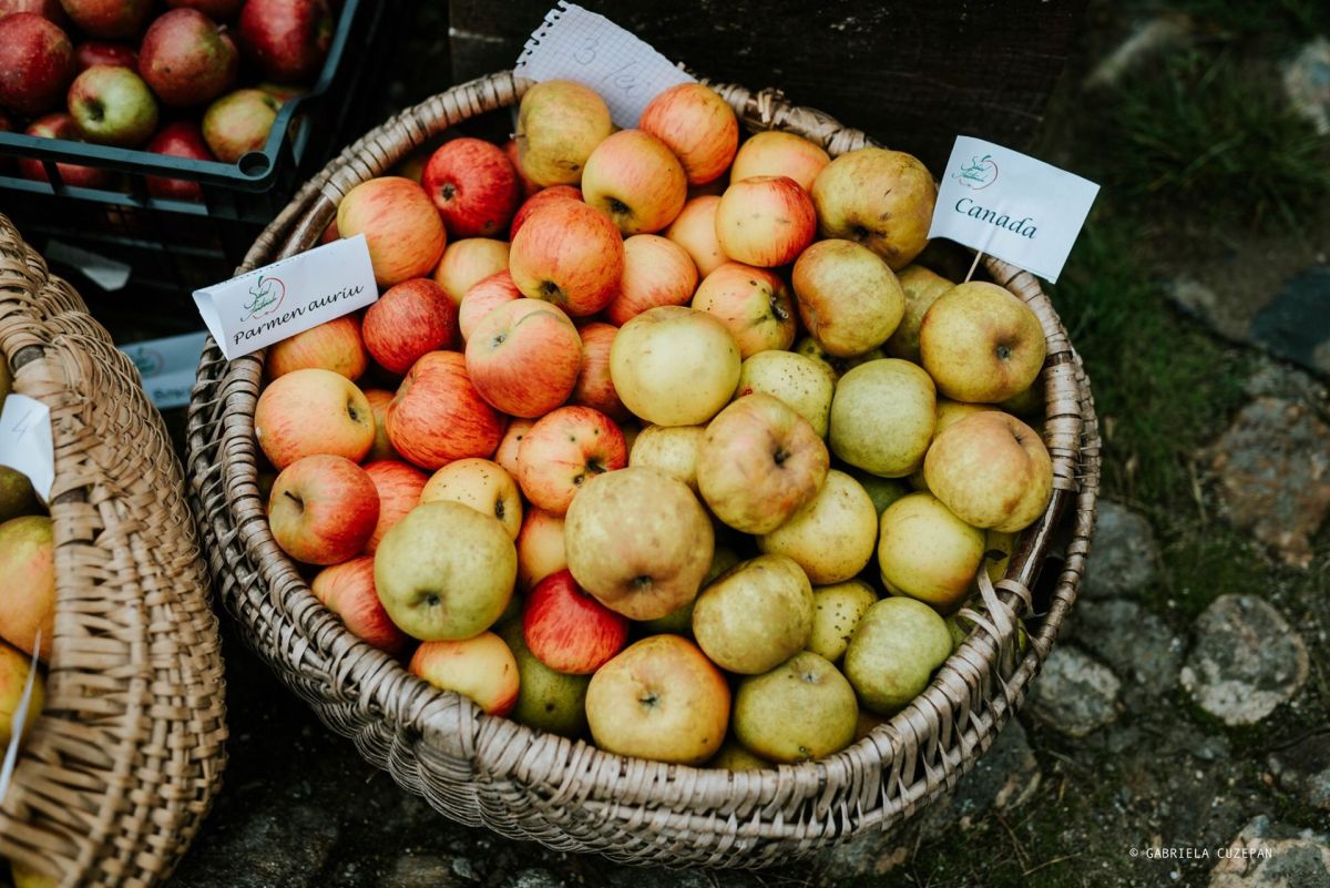 Târg și degustare de mere din soiuri tradiționale vechi la Fântânele și Sibiel