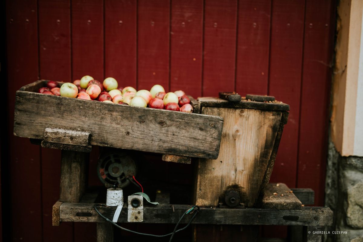 Târg și degustare de mere din soiuri tradiționale vechi la Fântânele și Sibiel