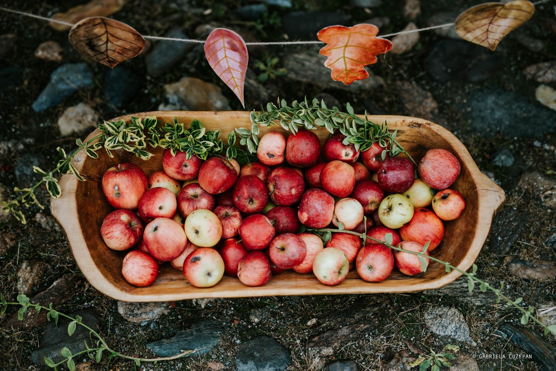 Târg și degustare de mere din soiuri tradiționale vechi la Fântânele și Sibiel