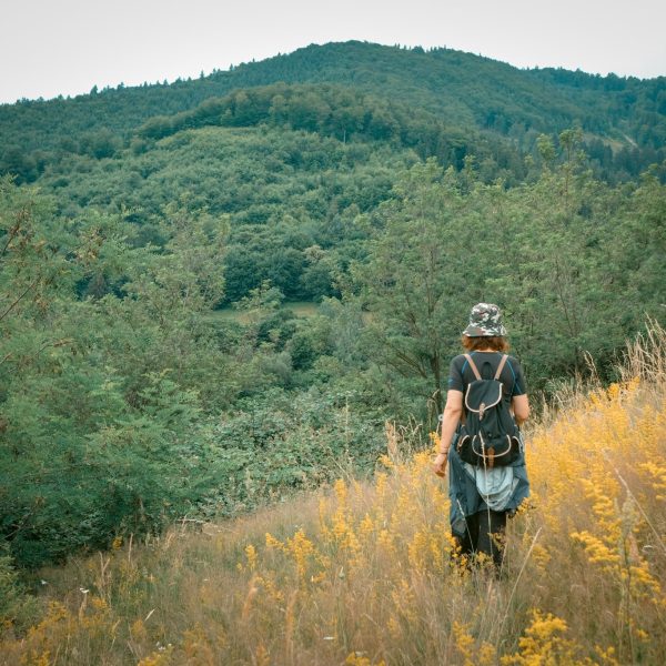 Experiență locală în Colinele Transilvaniei