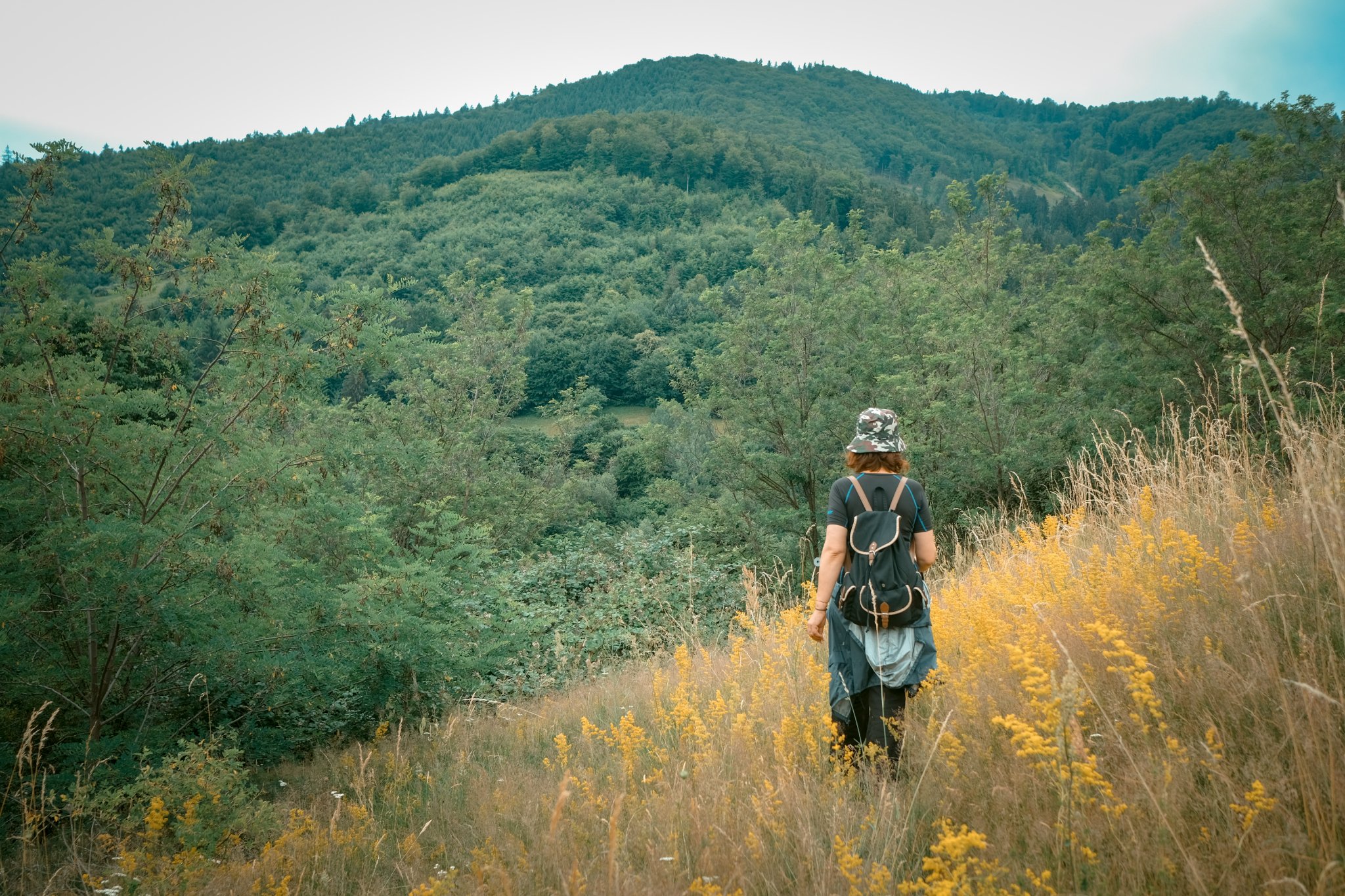 Drumeție în familie în Colinele Transilvaniei