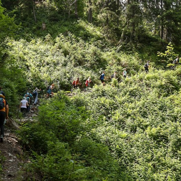 Drumeție în Munții Făgăraș: Vf. Suru