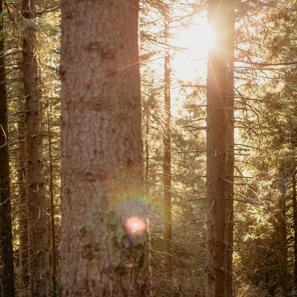 Drumeție în Munții Făgăraș Fereastra Zmeilor