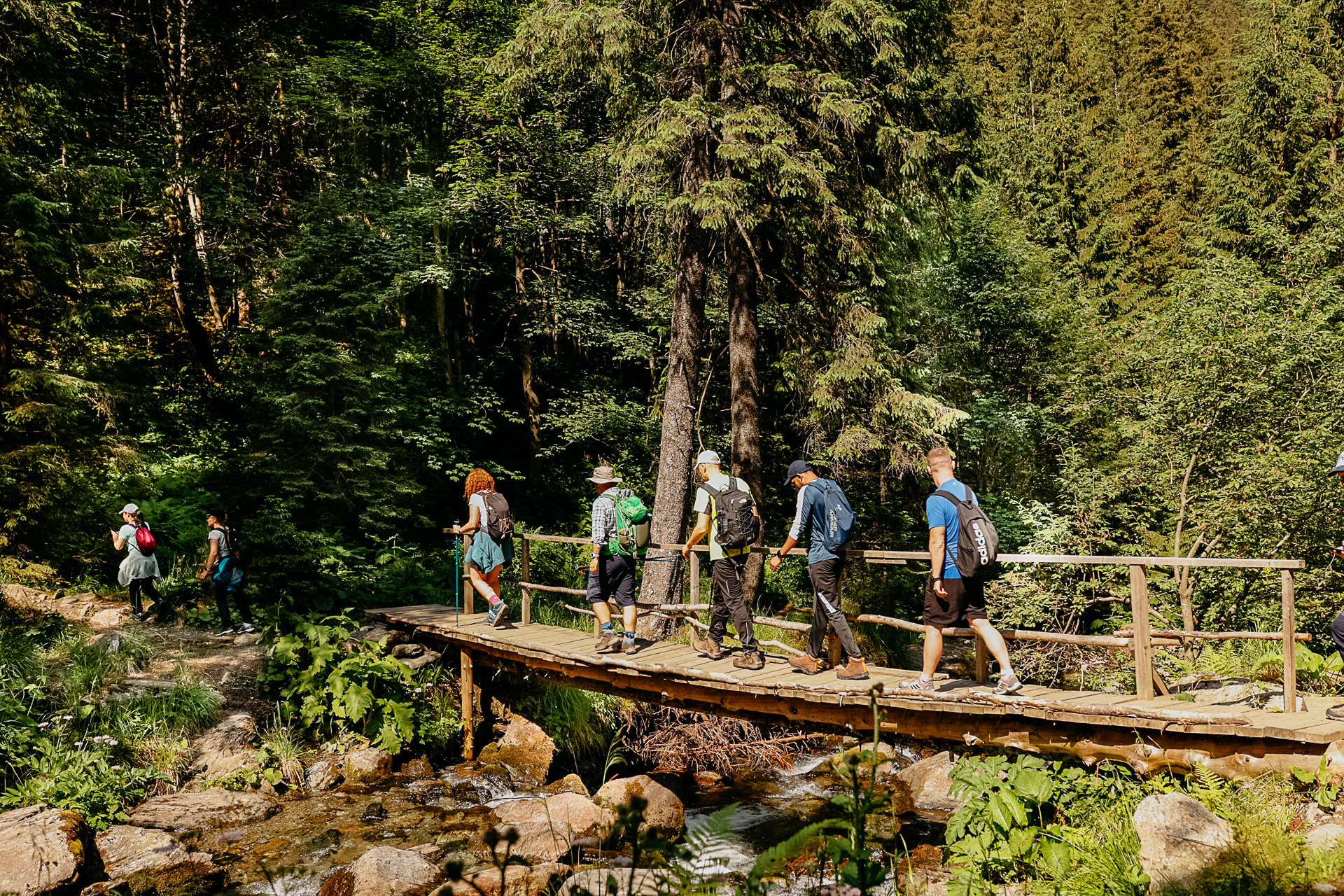 Drumeție în Munții Făgăraș: Vf. Netedu