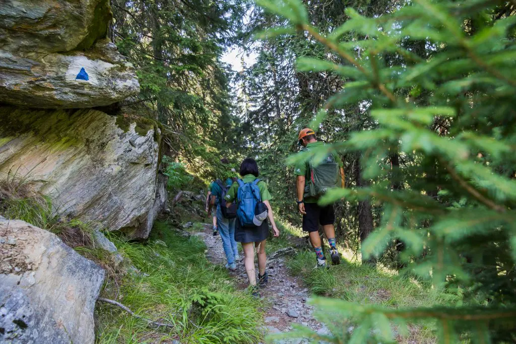 Marcaj traseu turistic