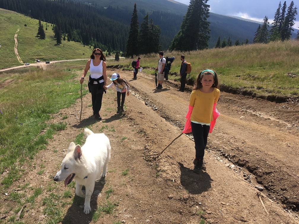 Drumetie pentru cunoasterea florei specifice toamnei