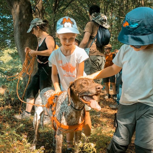 Drumeție în familie pe traseul: Păltiniș - Poiana Găujoara - Gradina Oncești - Păltiniș