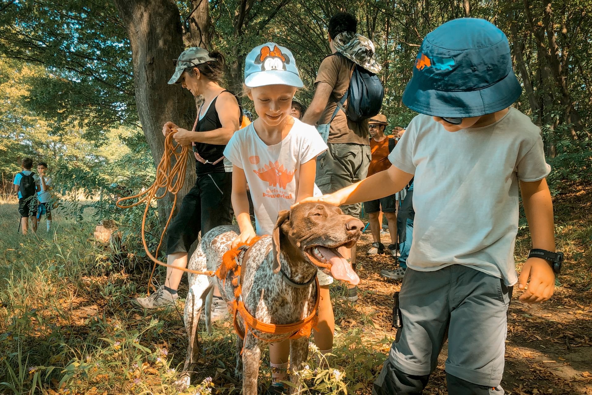 Drumeție în familie pe traseul: Păltiniș – Poiana Găujoara – Gradina Oncești – Păltiniș