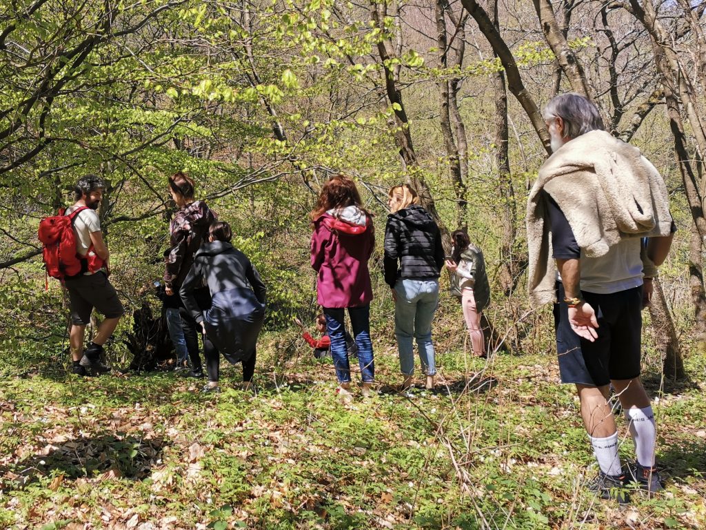 Yoga and Forest Bathing Yoga and Forest Bathing