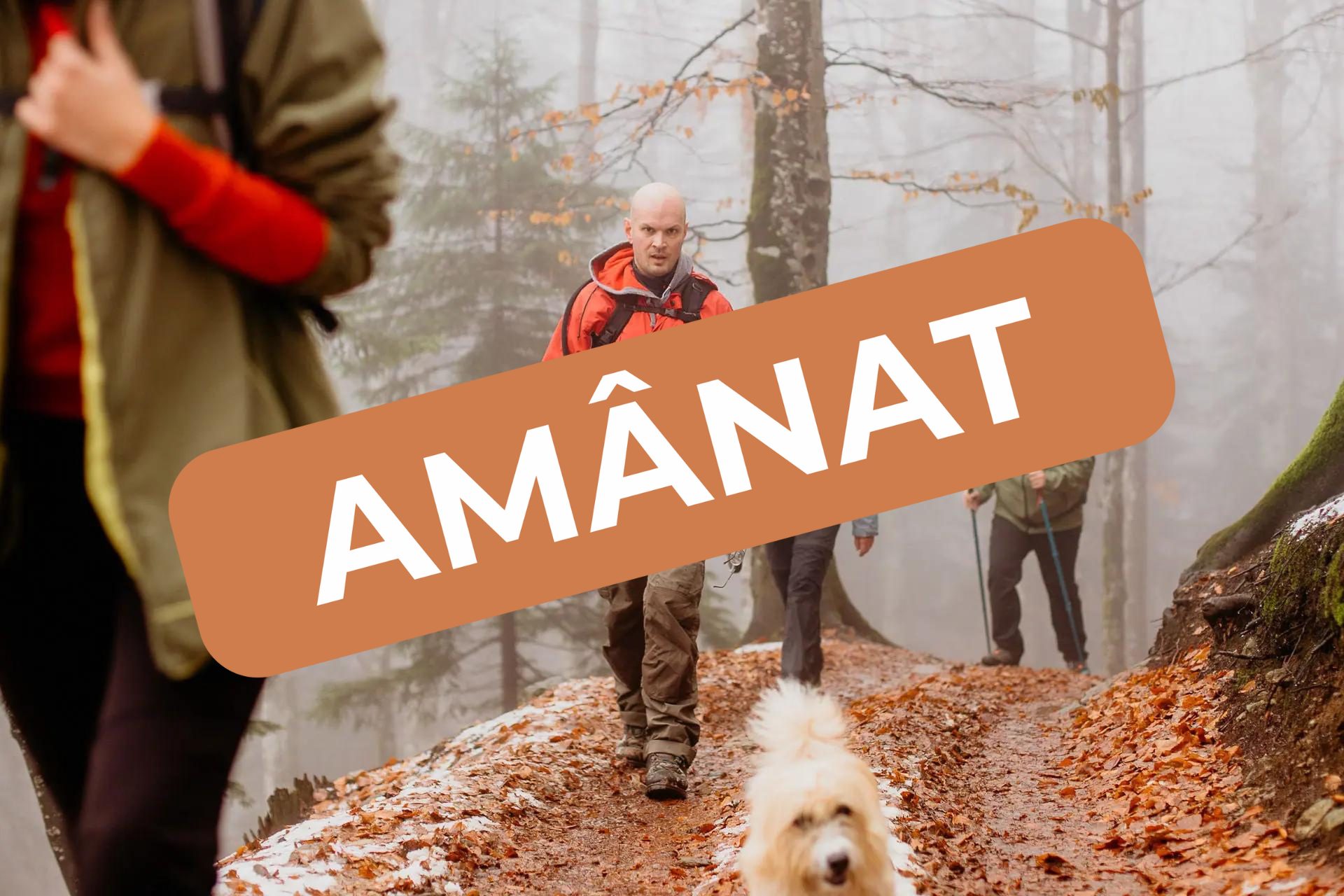 Experiență locală în jurul Mediașului: drumeție & atelier de pictat globuri