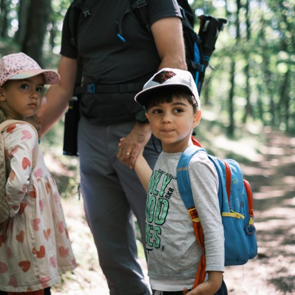 Drumeție pe dealurile Mediașului: turul Văii Greweln