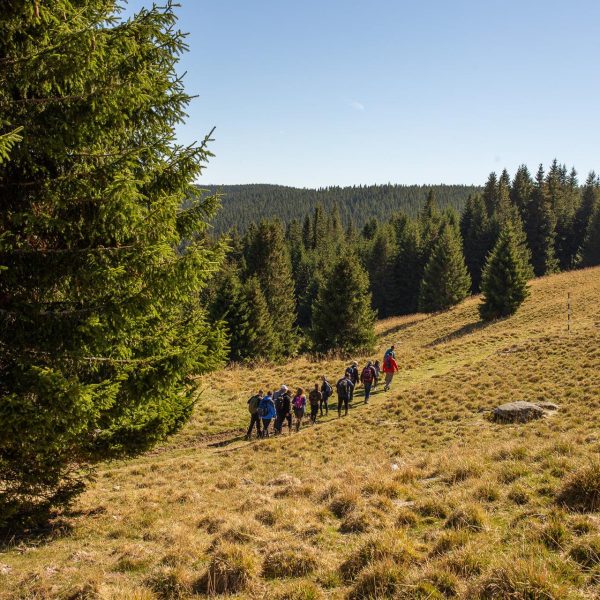 Drumeție de toamnă pe Vârful Cindrel
