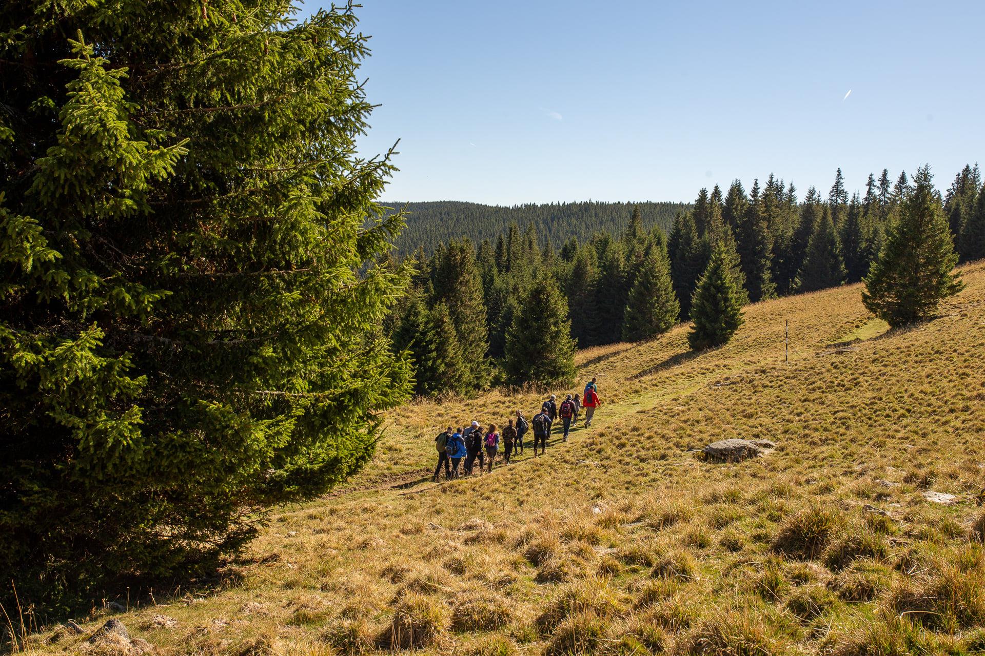 Drumeție de toamnă pe Vârful Cindrel