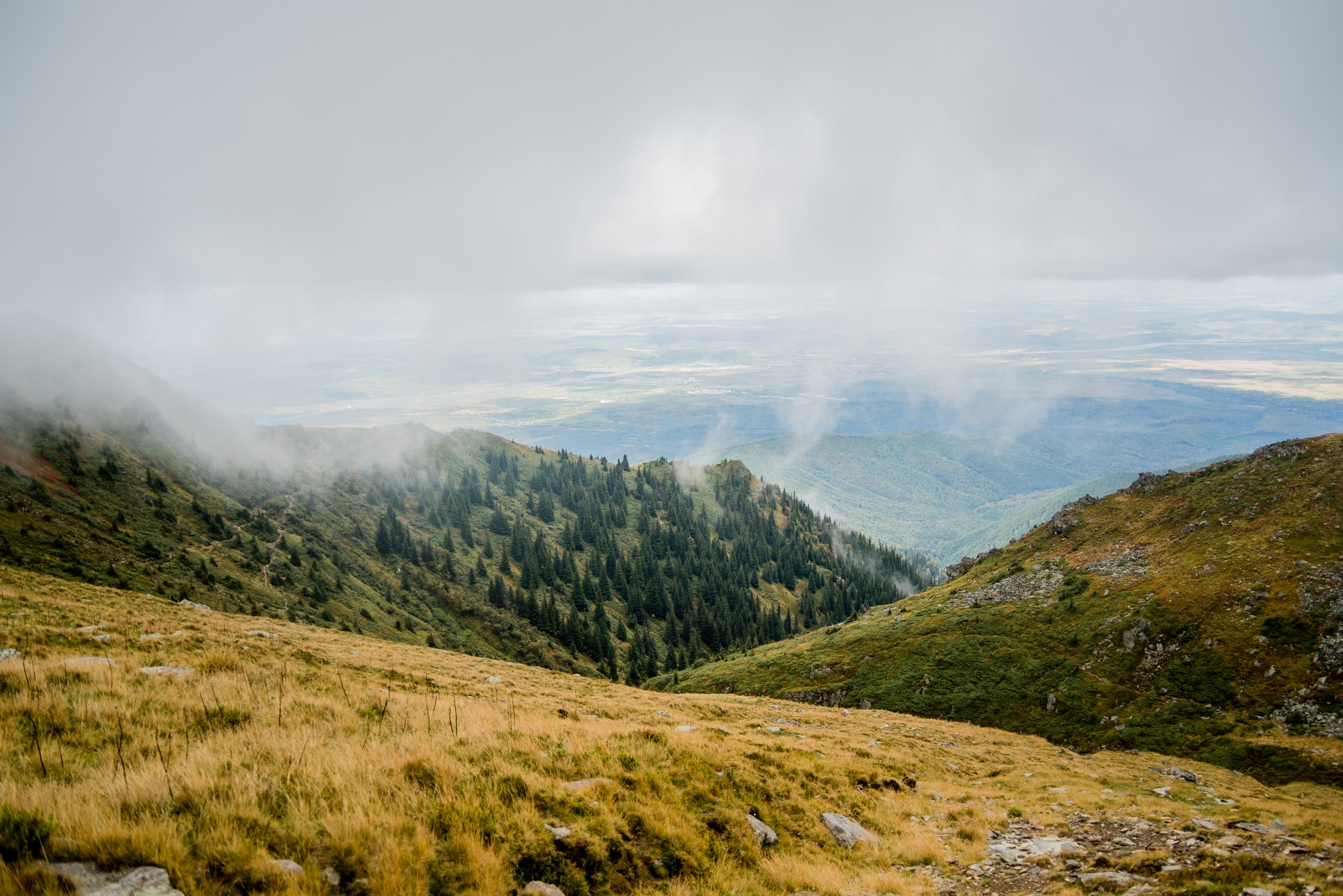 Drumeție în Munții Făgăraș: Vf. Tătaru (partea 2)