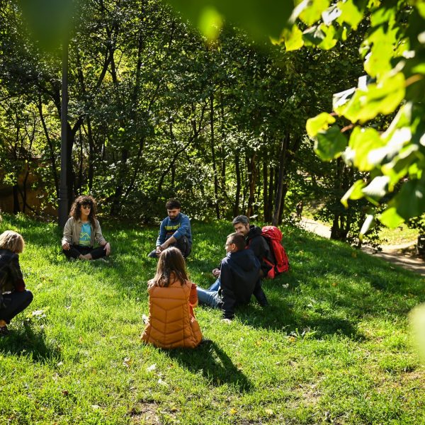 Yoga and Forest Bathing