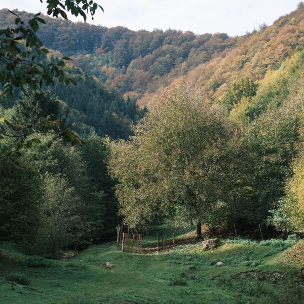 Drumetie pe Dealurile Rasinarului: Vf. Fraga și Vf. Plaiului