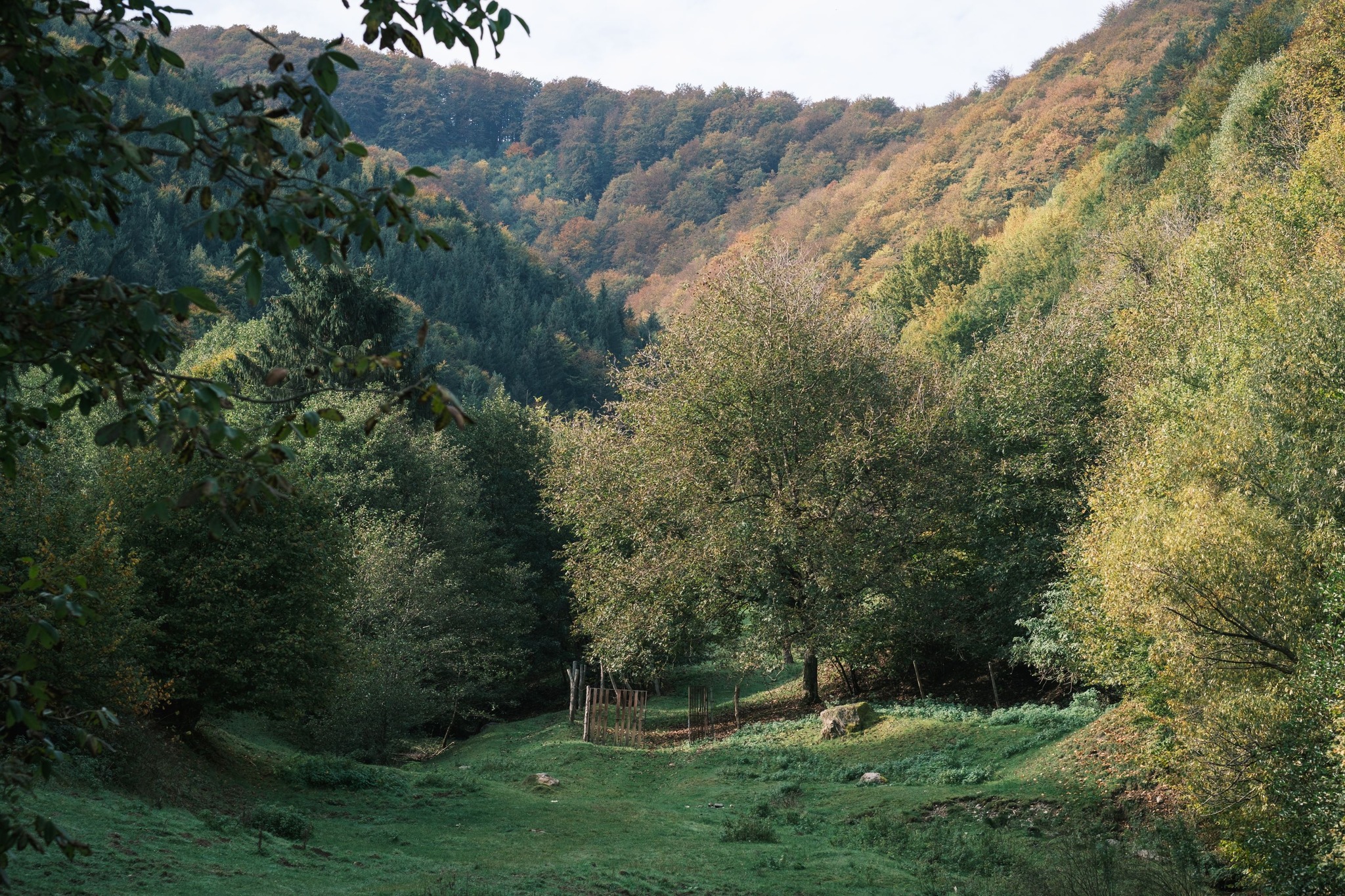 Drumetie pe Dealurile Rasinarului: Vf. Fraga și Vf. Plaiului