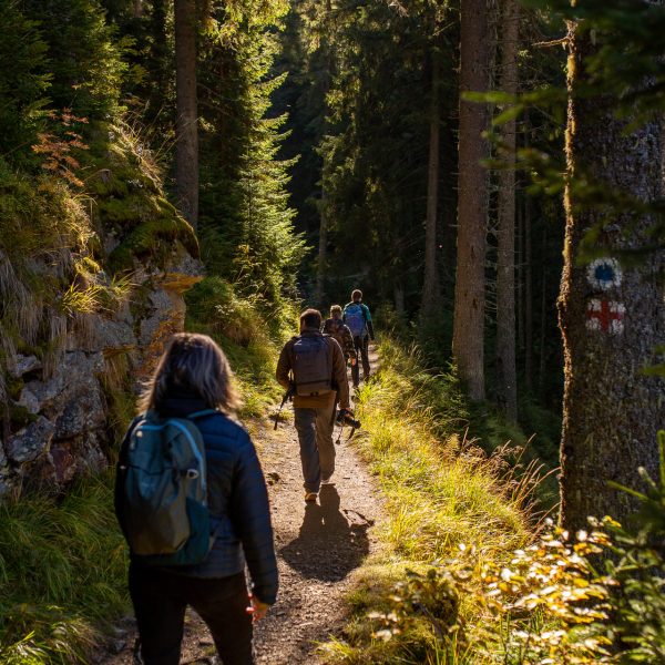 Drumeție la apus: Șaua Bătrâna, cu coborâre la frontală