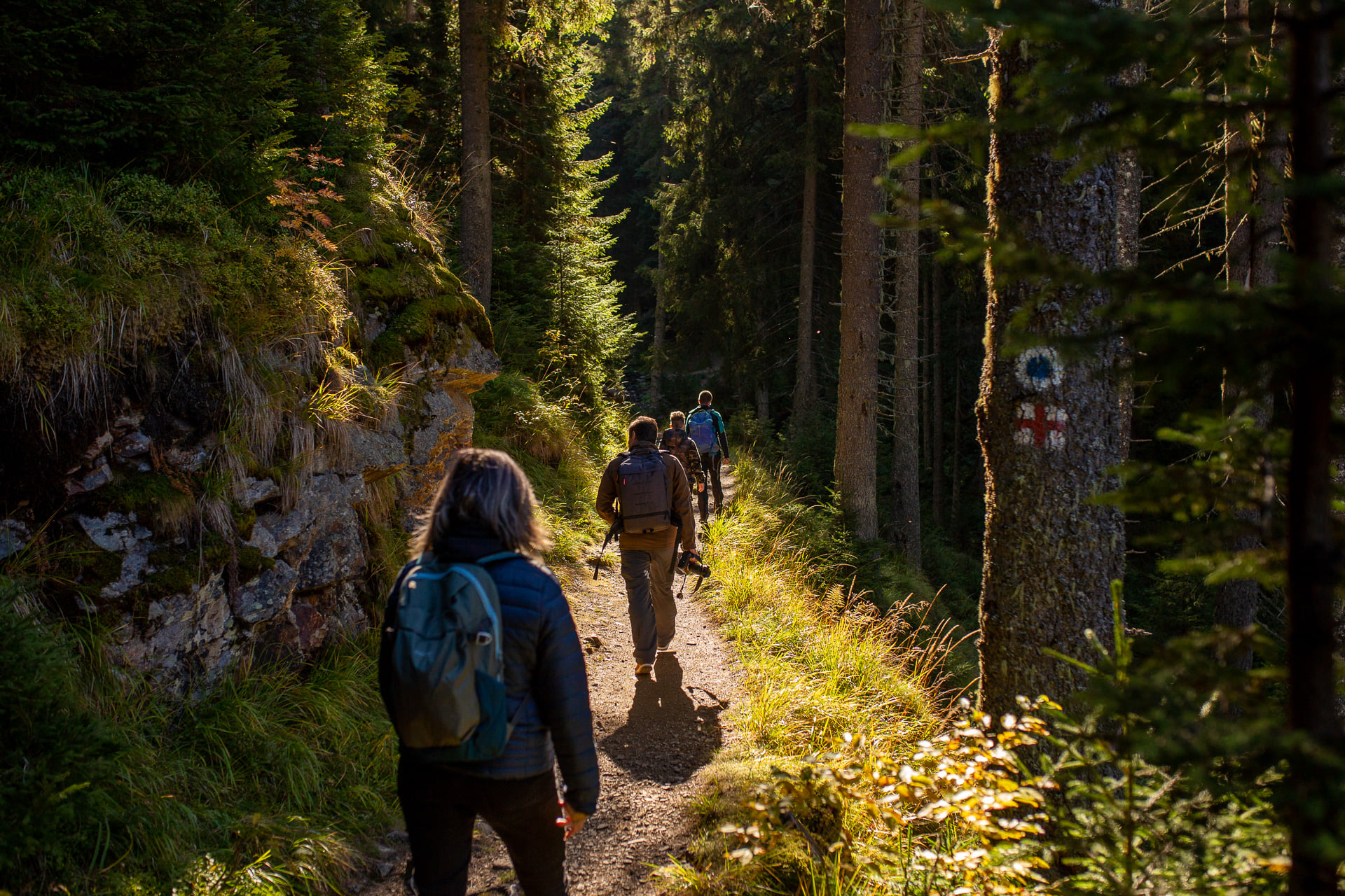 Drumeție la apus: Șaua Bătrâna, cu coborâre la frontală