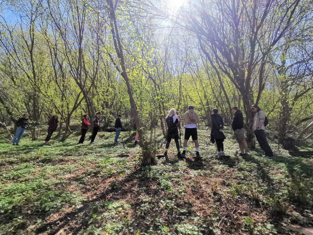 Yoga and Forest Bathing Yoga and Forest Bathing