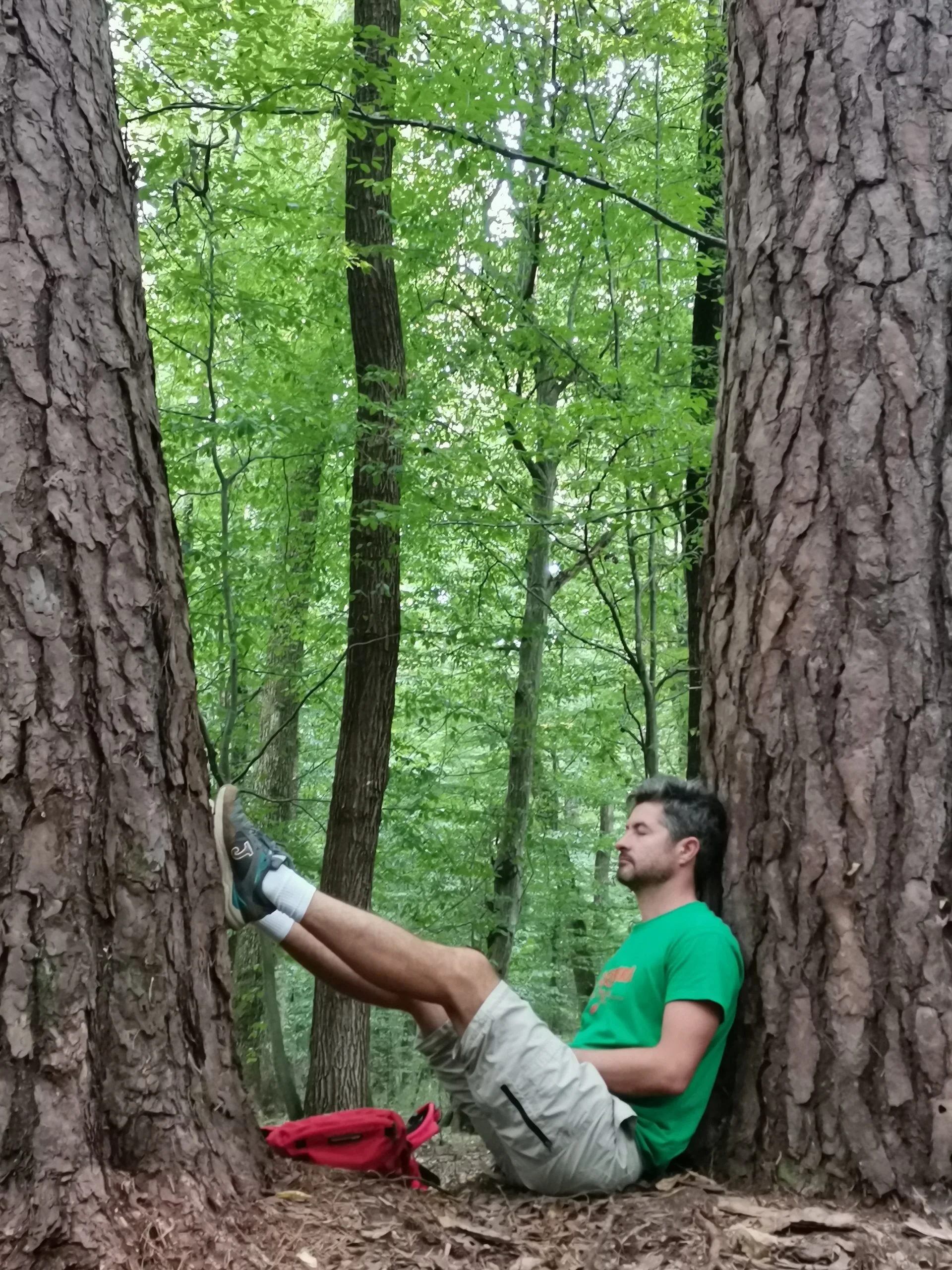 Experiență | Forest Bathing și yoga în natură