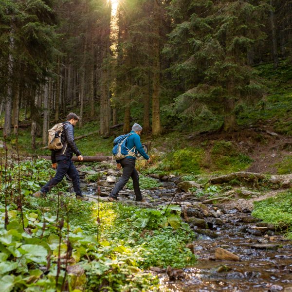 Drumeție în Munții Cindrel, Circuit Păltiniș