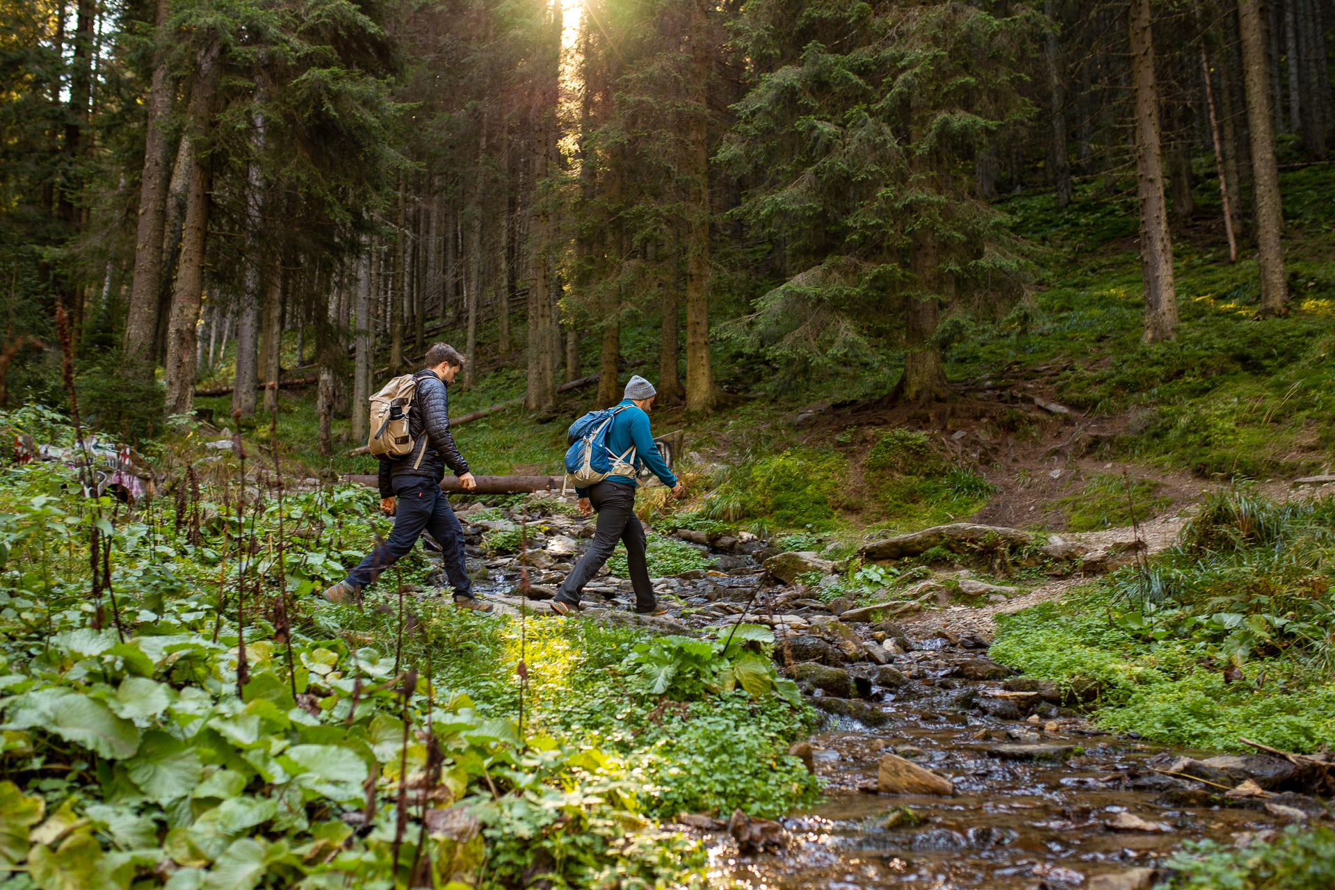 Drumeție în Munții Cindrel: Păltiniș