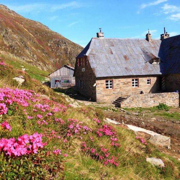 Drumeție în Munții Făgăraș: Cabana Podragu