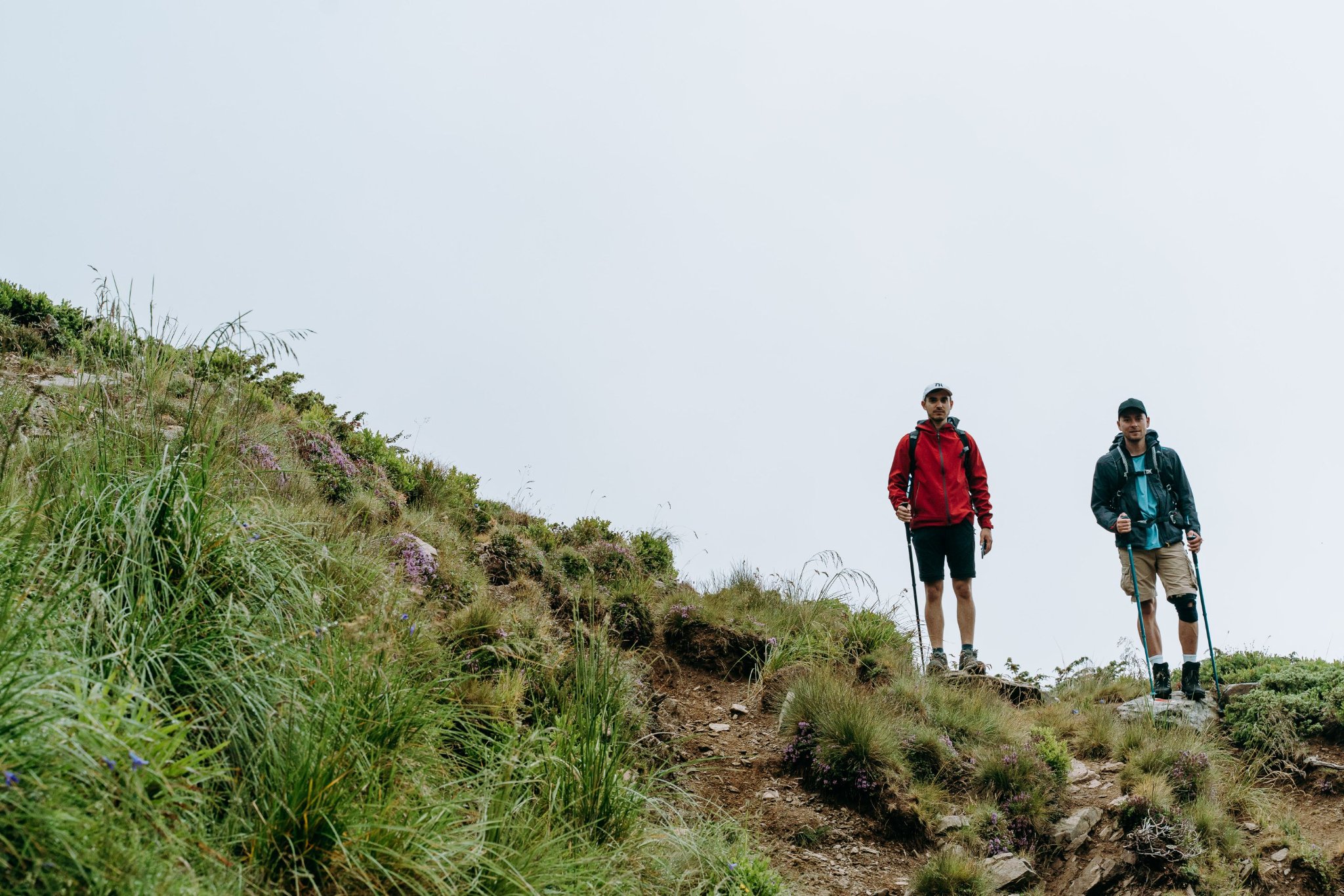 Drumeție în Munții Lotrului: Vf. Prejba (partea 2) cu urcare din Tălmăcel