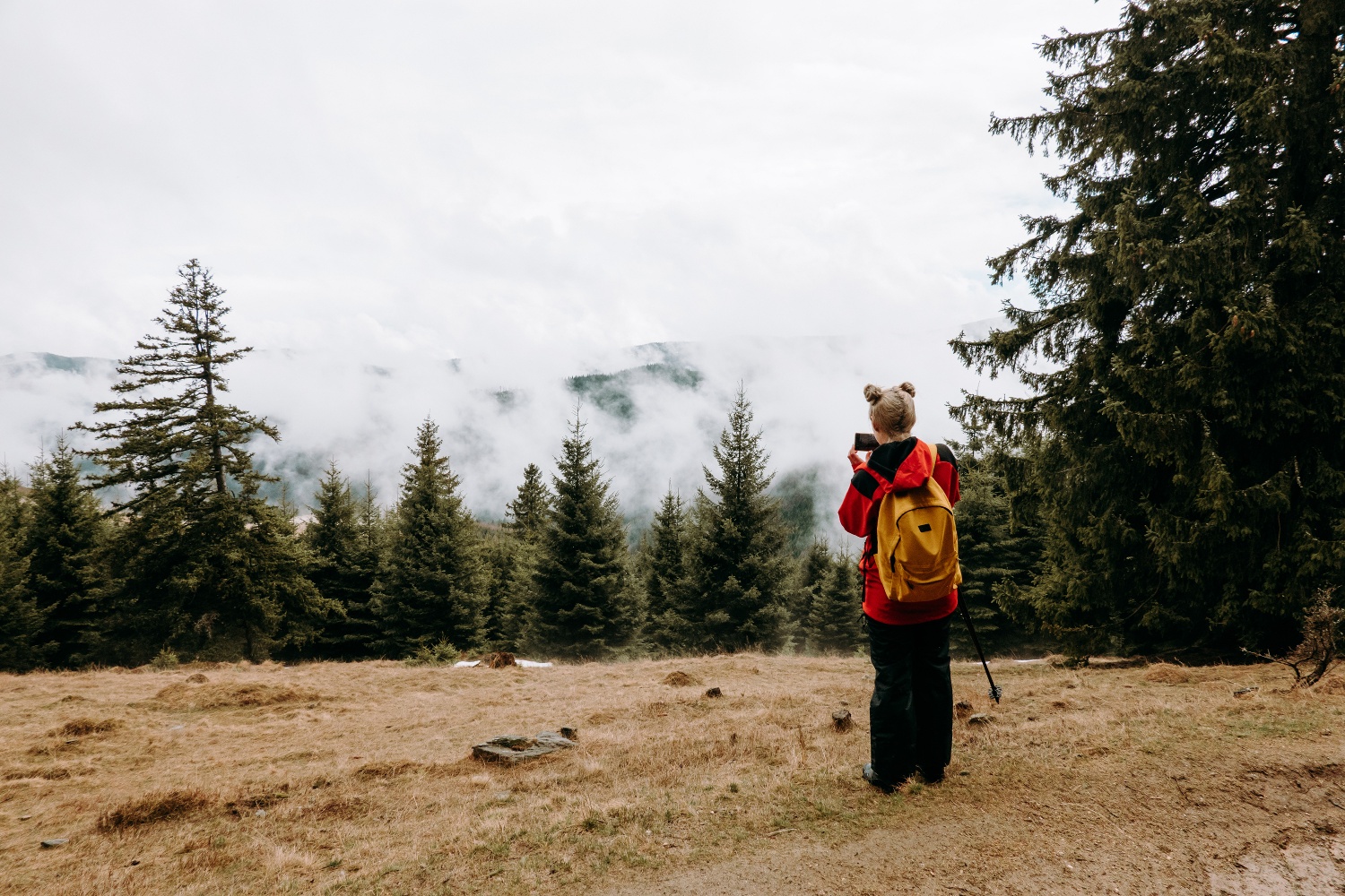 Jina – La Pripoane – Cindrel Peak