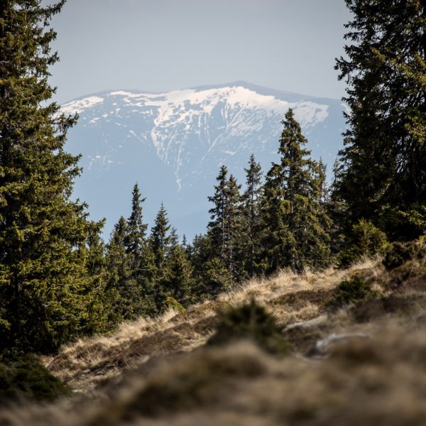Drumeție în Munții Făgăras: Cabana Suru și Monumentul Salvamontiștilor