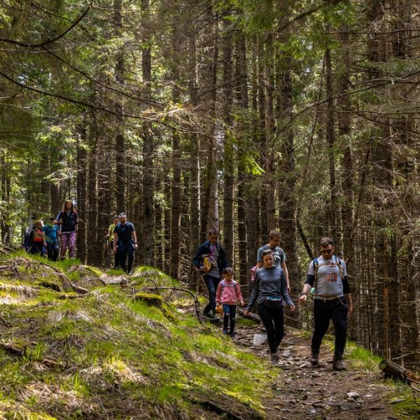 -ANULAT- Drumeție în Colinele Transilvaniei - Via Transilvanica - Richiș - Biertan