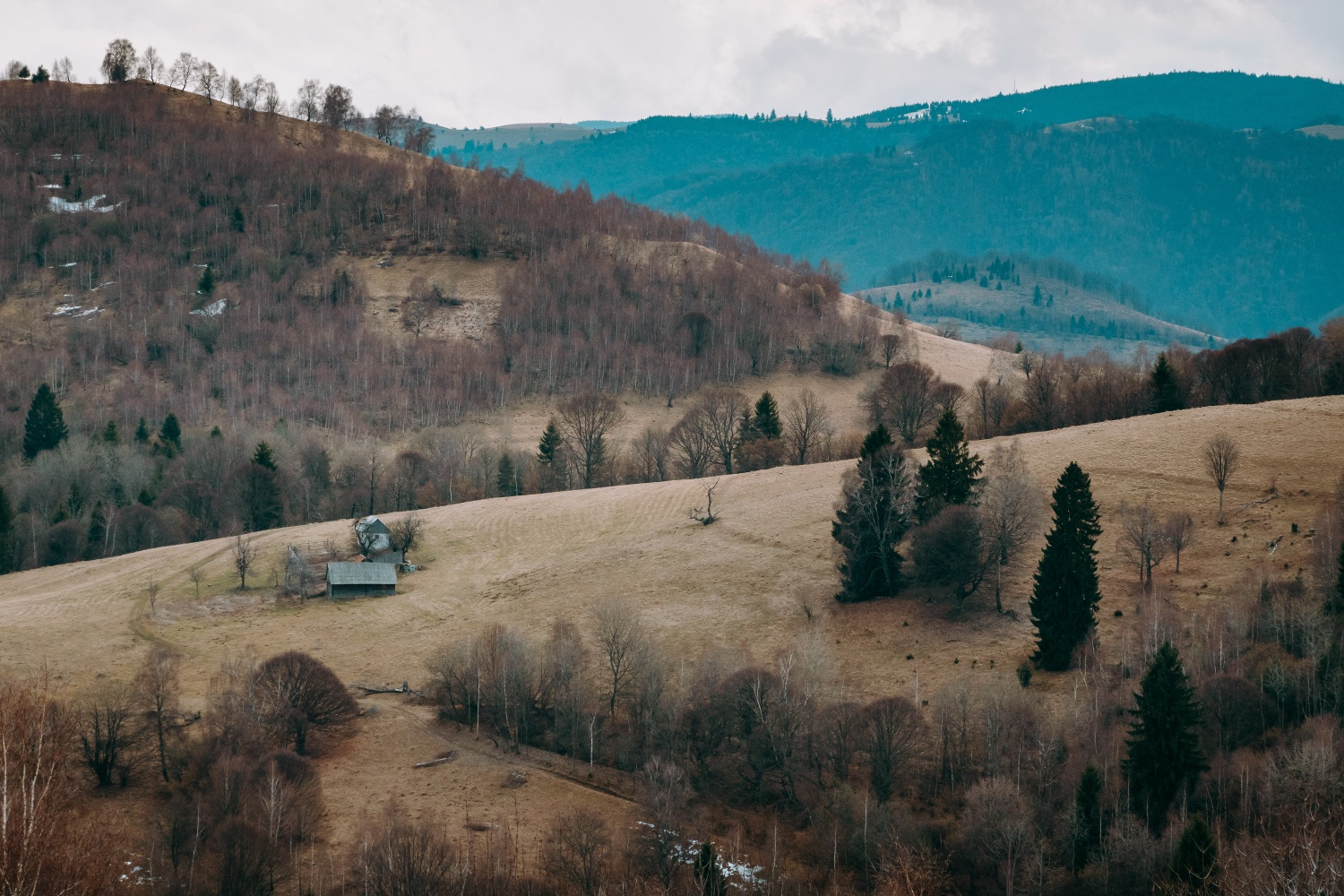 Former Fântânele Chalet – Students’ Route – Păltiniş Resort