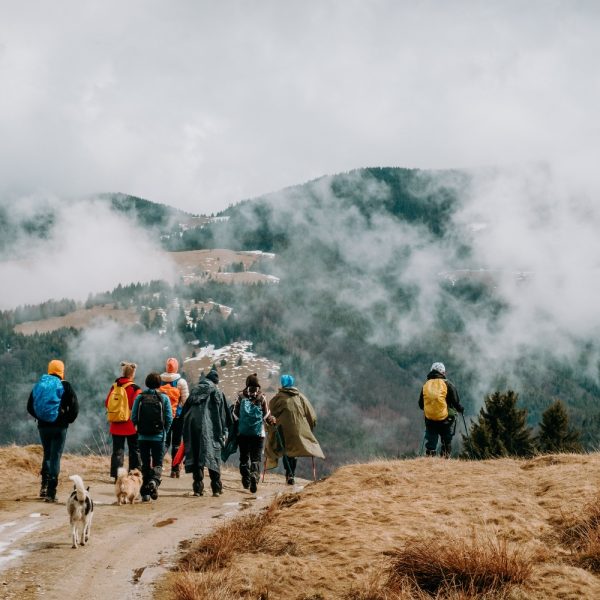 Drumeție de primăvară: Rășinari - Cisnădioara