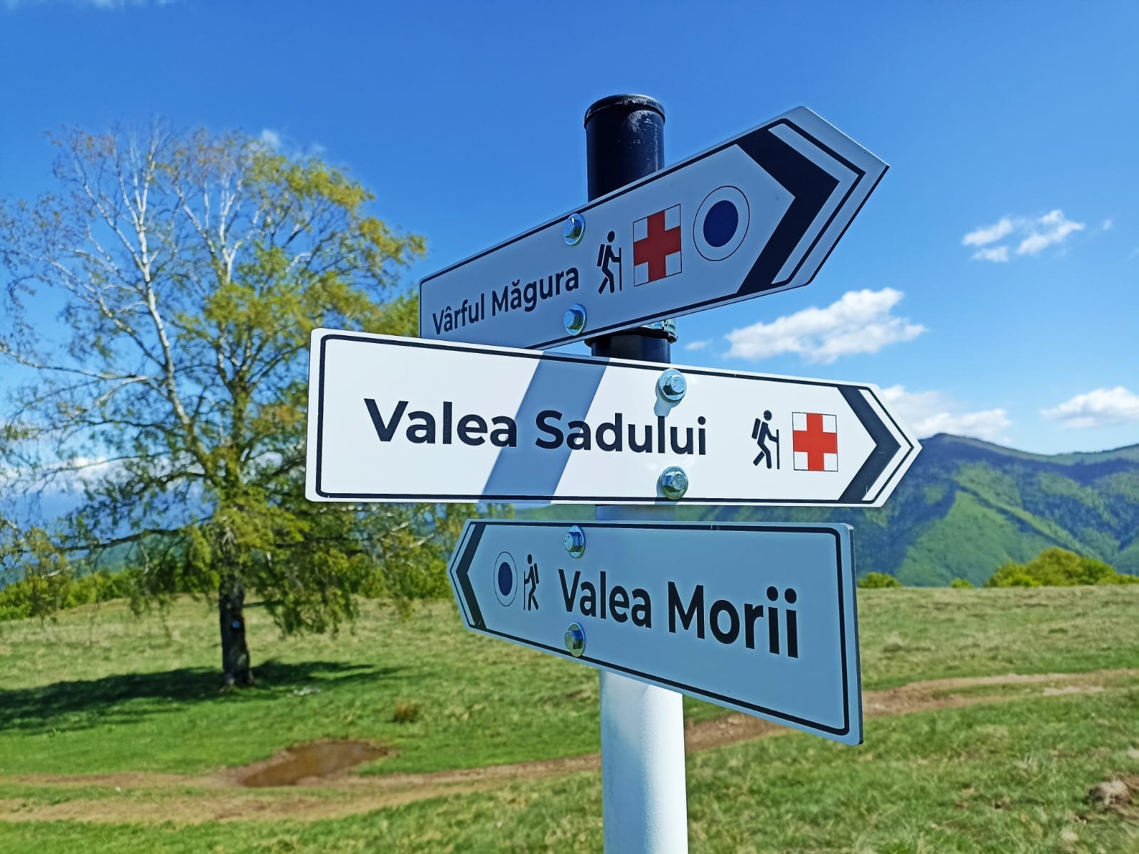 Tocile Valley (Tocile Valley) – Poiana Mărului – Măgura Peak