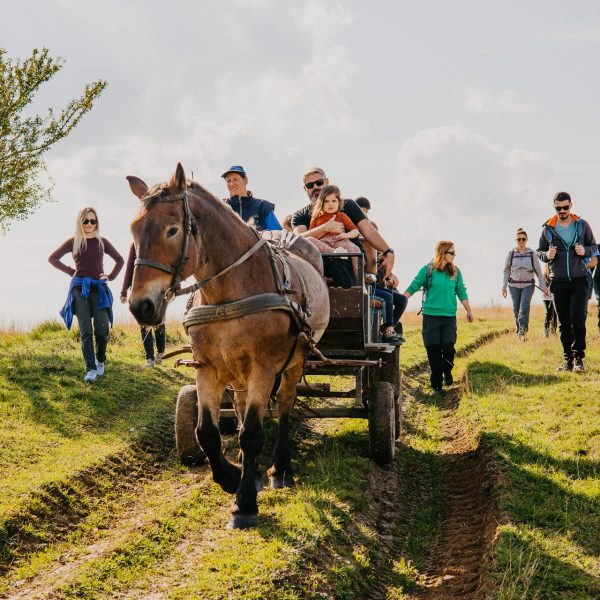 Drumeție în Ilimbav cu prânz la stână