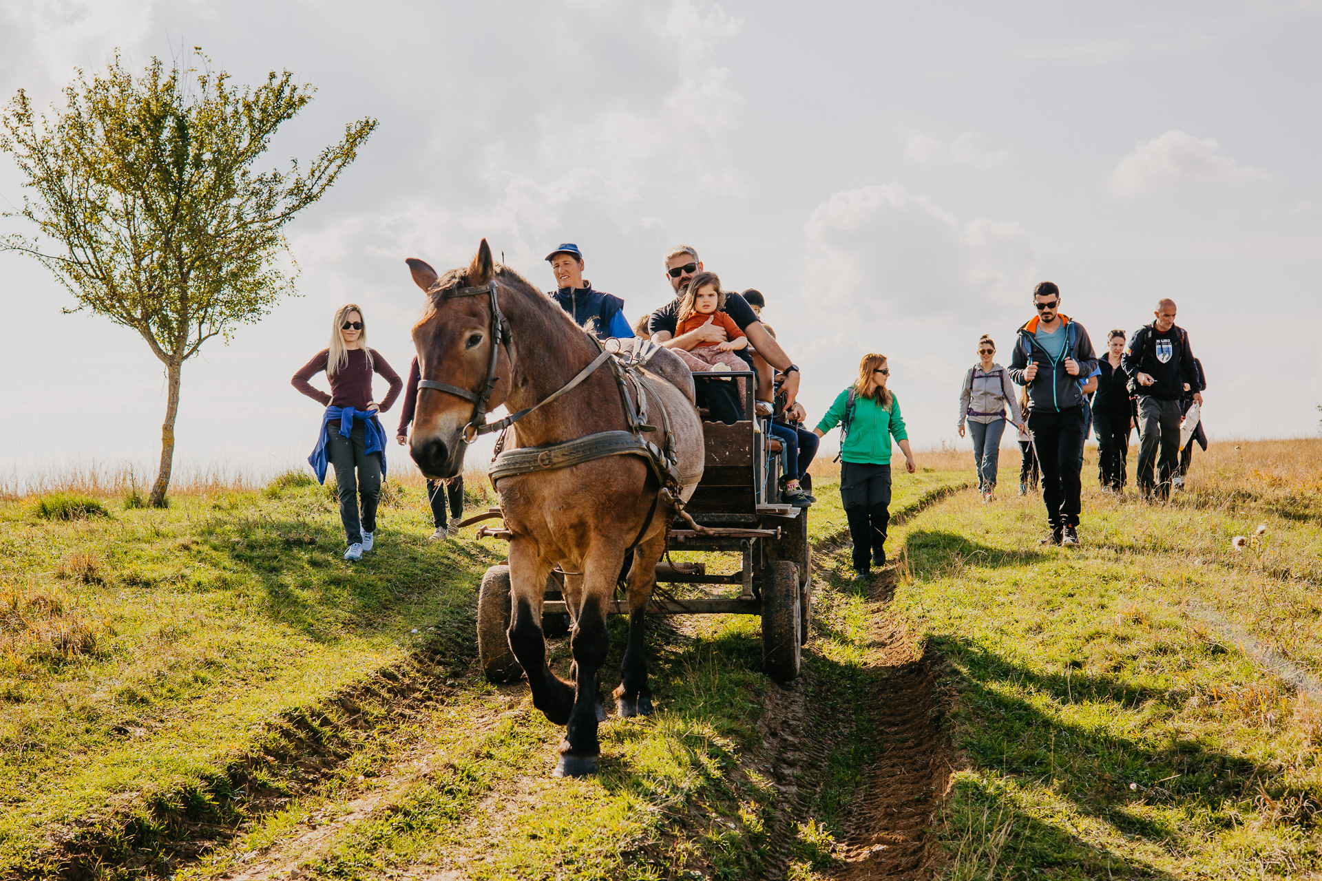 Drumeție în Ilimbav cu prânz la stână
