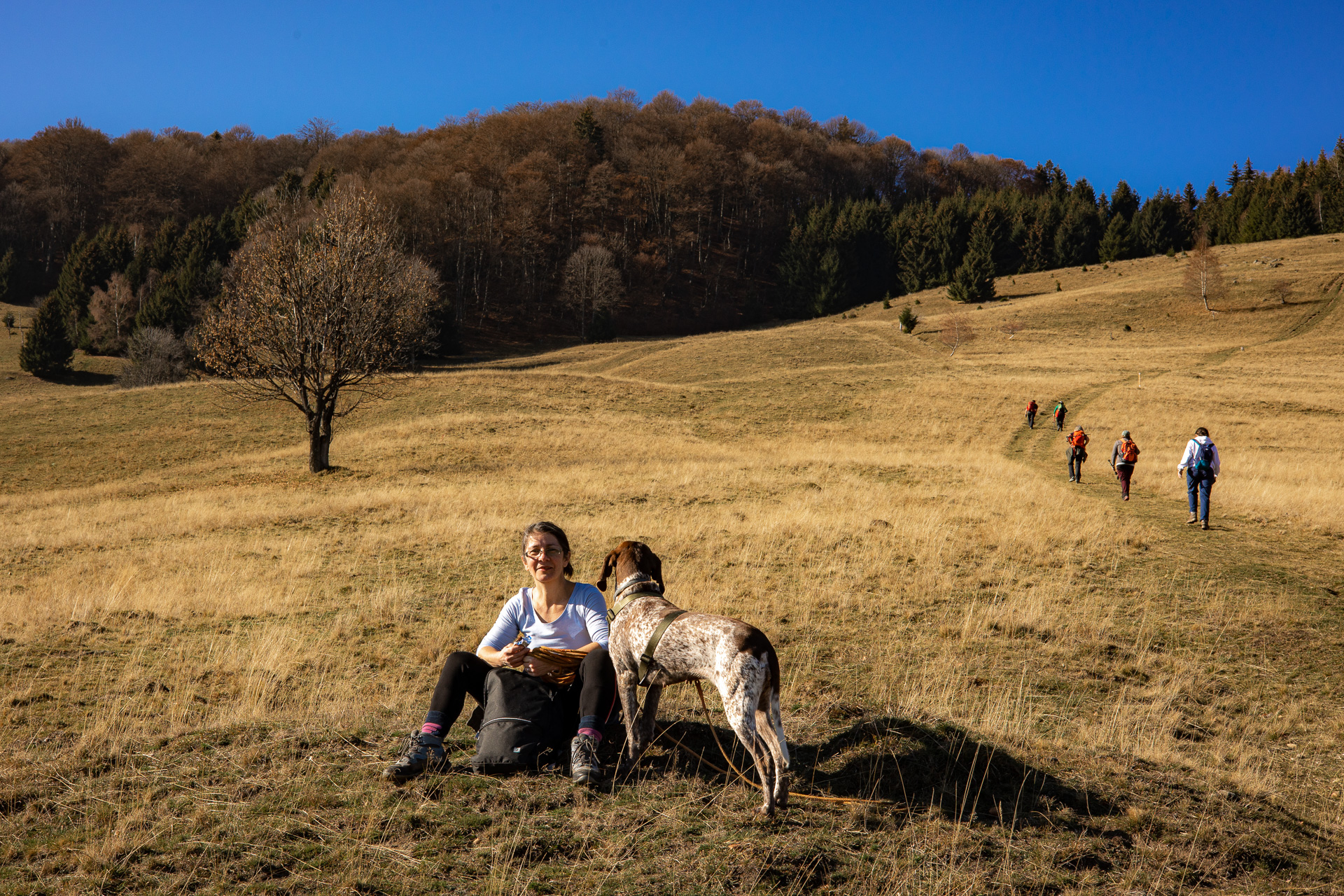 Drumeție în Munții Cindrel: circuit Gura Râului