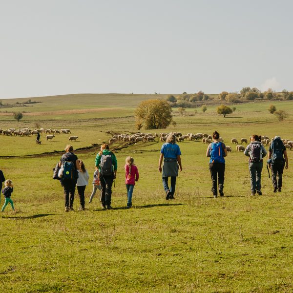 Drumeție în familie la Ilimbav, cu picnic biodinamic și cules de porumb bio