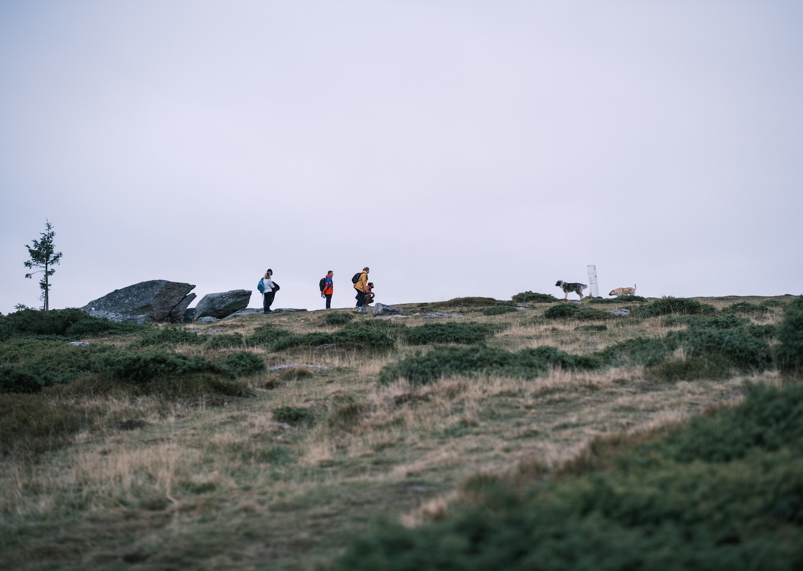 Drumeție la apus pe Vârful Bătrâna