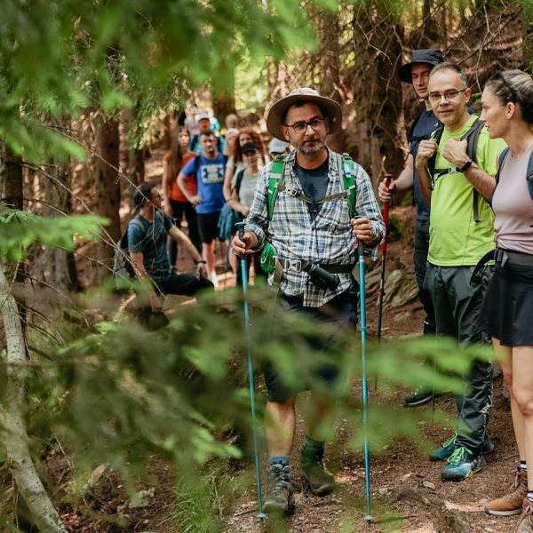 Drumeție în Munții Lotrului: circuit Boița