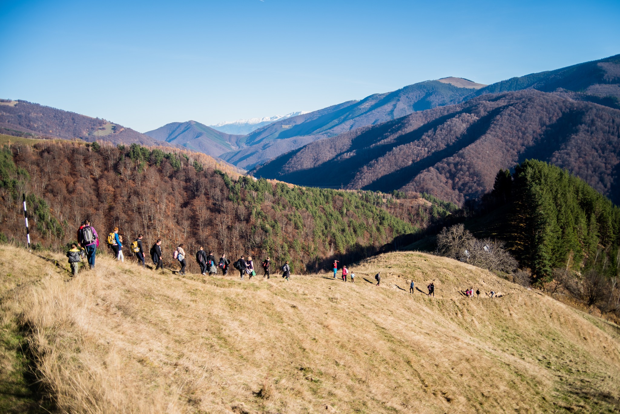 Drumeție în Munții Cindrel, pe dealurile Rășinariului