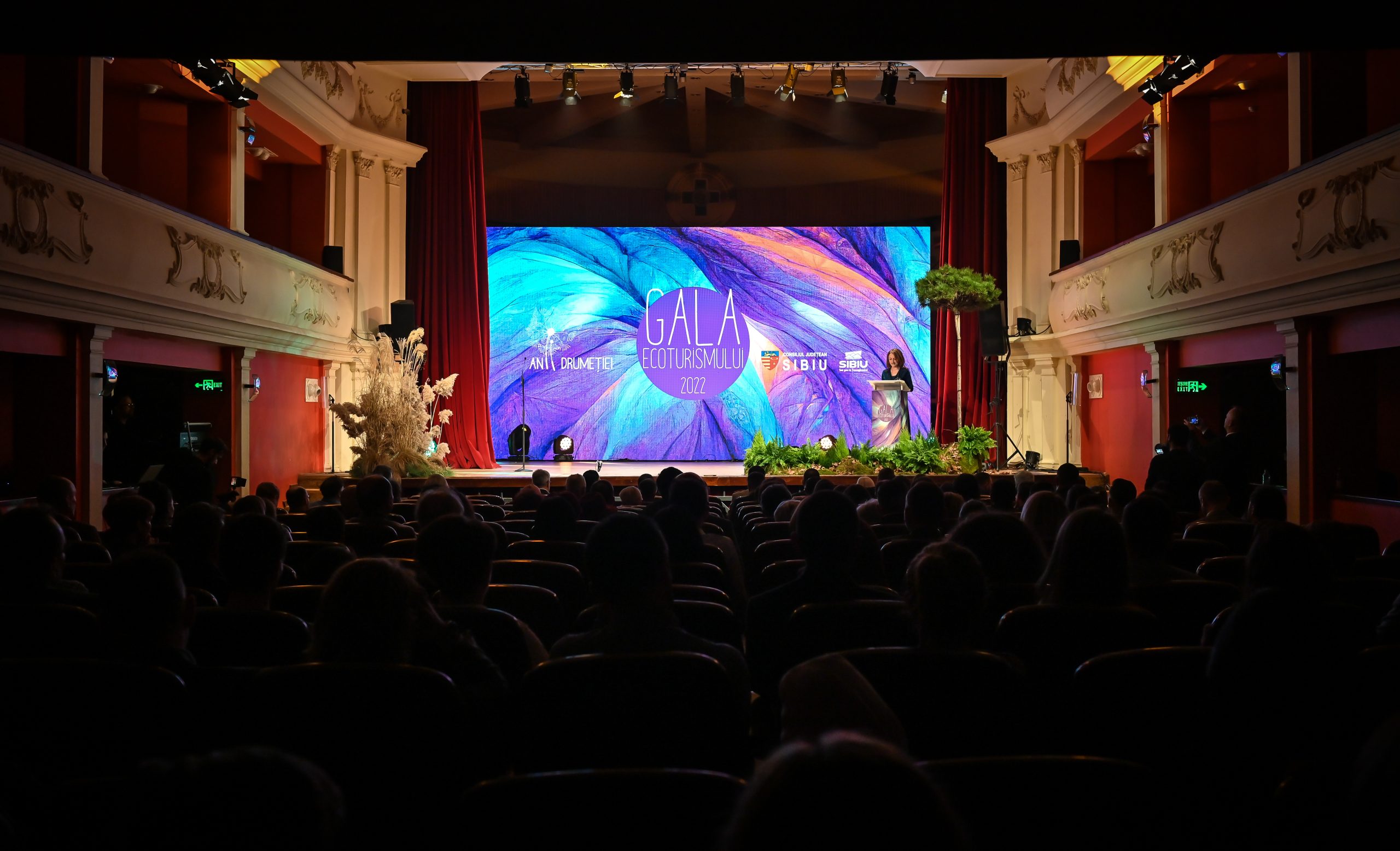 Articol blog Anii Drumetiei