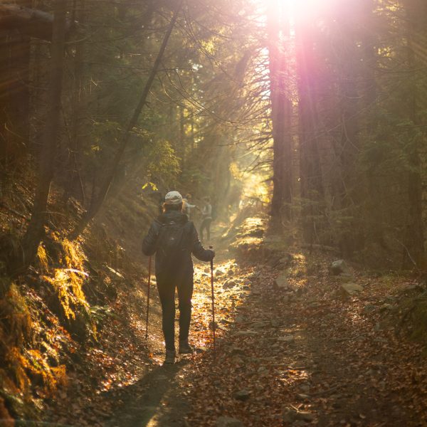 Drumeție în Munții Cindrel, pe dealurile Rășinariului