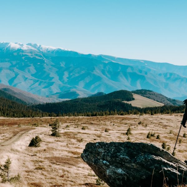 Drumeție în familie: circuit Păltiniș – Șanta