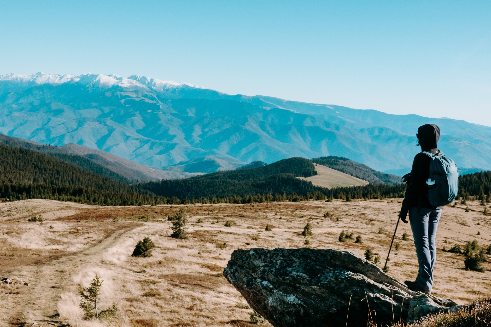 Drumeție în familie: circuit Păltiniș – Șanta